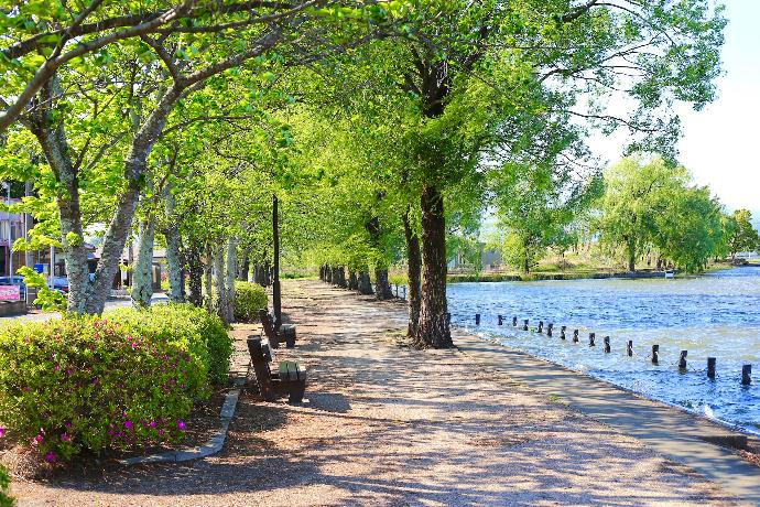 brown wooden bench near body of water