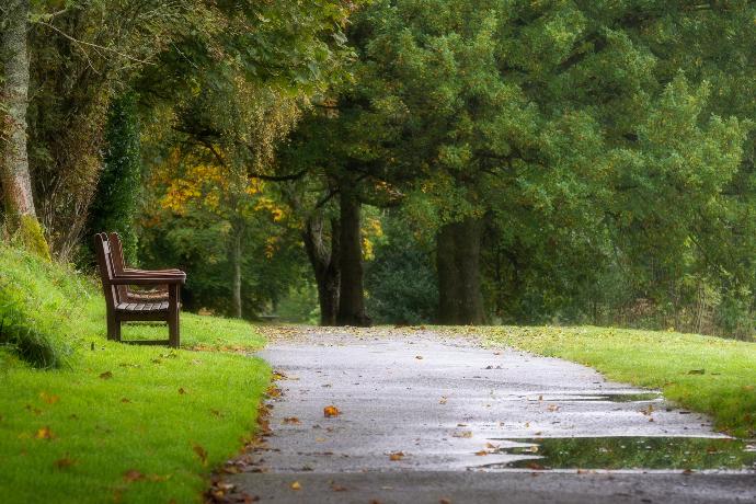 brown wooden bench on green grass field during daytime